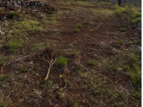 Izdavanje, plac, 3500m², Lješevići, Kotor - image 9