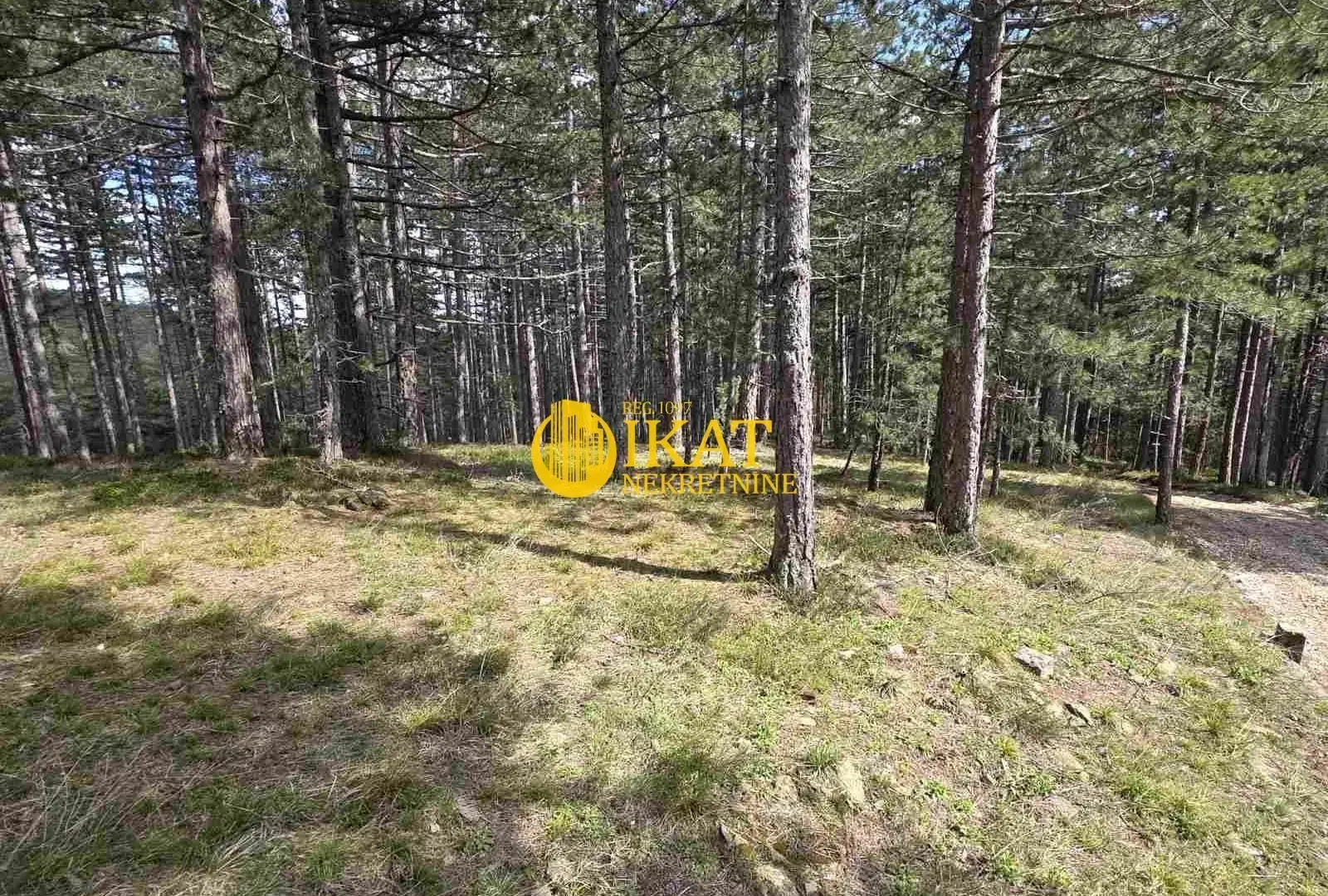 Prodaja, plac, 1272m², Tara, Srbija
