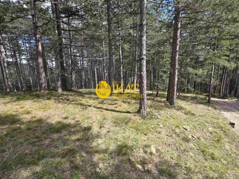 Prodaja, plac, 1272m², Tara, Srbija - image 7