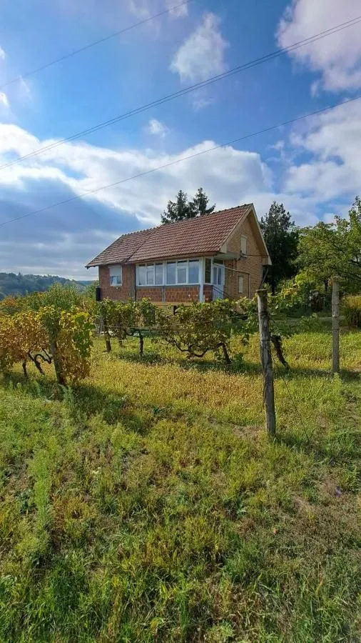 Prodaja, plac, 3000m², Sremska Kamenica, Petrovaradin
