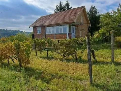 Prodaja, plac, 3000m², Sremska Kamenica, Petrovaradin - image 7