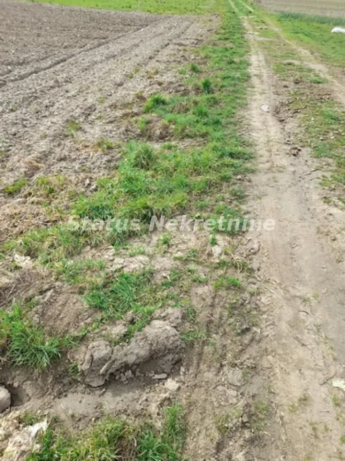 Prodaja, plac, 499m², Futog, Novi Sad Sve Podlokacije