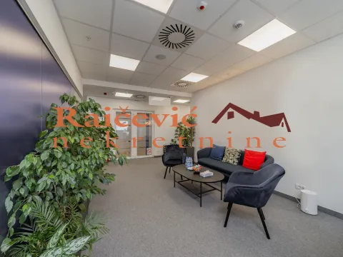 Izdavanje, poslovni prostor, 289m², Tašmajdan, Palilula Sve Podlokacije - image 18