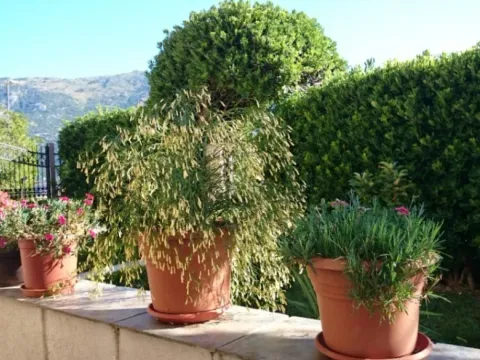 Prodaja, kuća, 317m², Prčanj, Kotor - image 4