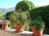 Sale, house, 317m², Prčanj, Kotor - image 4