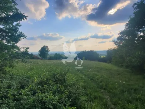 Prodaja, plac, 23000m², Mladenovac, Beograd - image 10