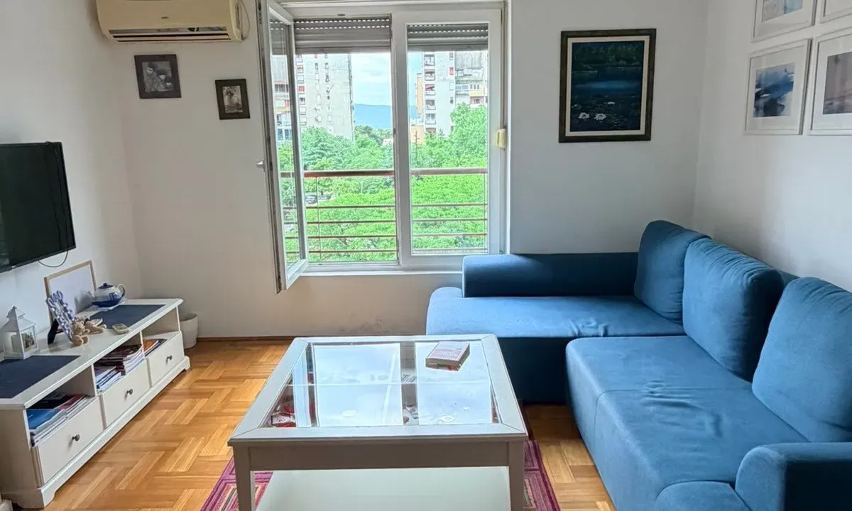 Rent, one bedroom apartment, 46m², Preko Morače, Podgorica