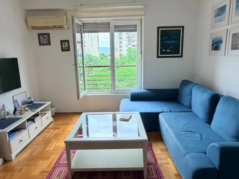 Rent, one bedroom apartment, 46m², Preko Morače, Podgorica - image 1