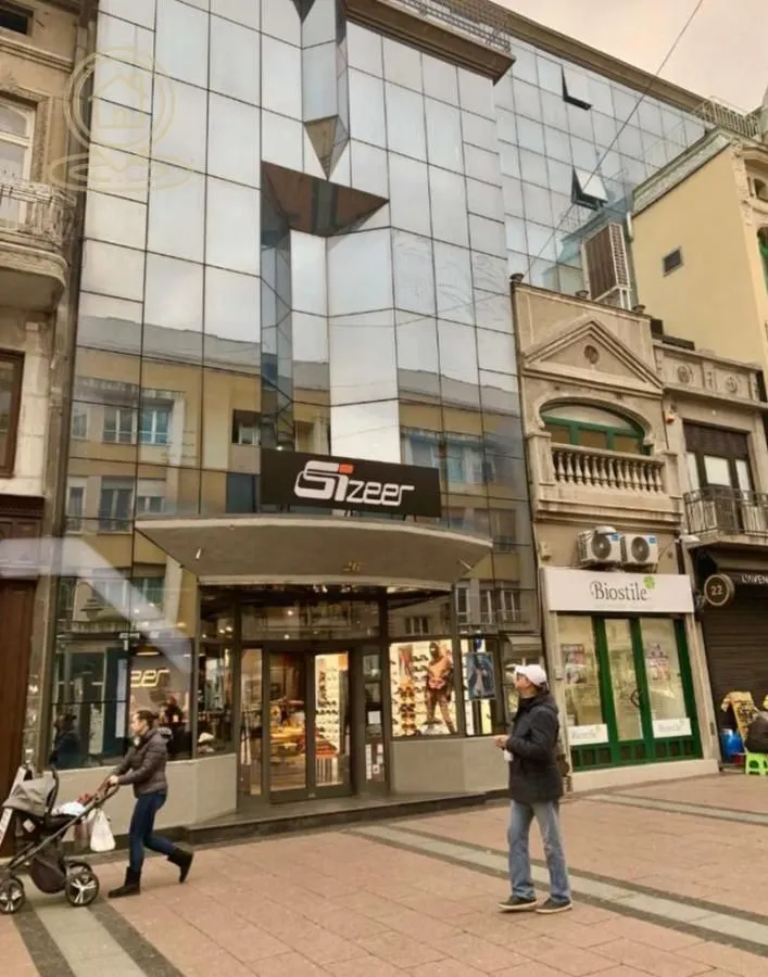 Izdavanje, stan, 217m², Centar, Niš