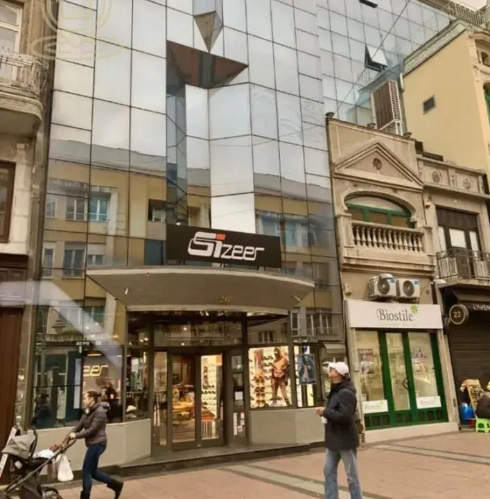 Izdavanje, stan, 217m², Centar, Niš