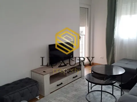 Izdavanje, jednosoban stan, 45m², Zabjelo, Podgorica - image 8