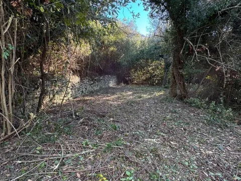 Prodaja, plac, 564m², Mažina, Tivat - image 5