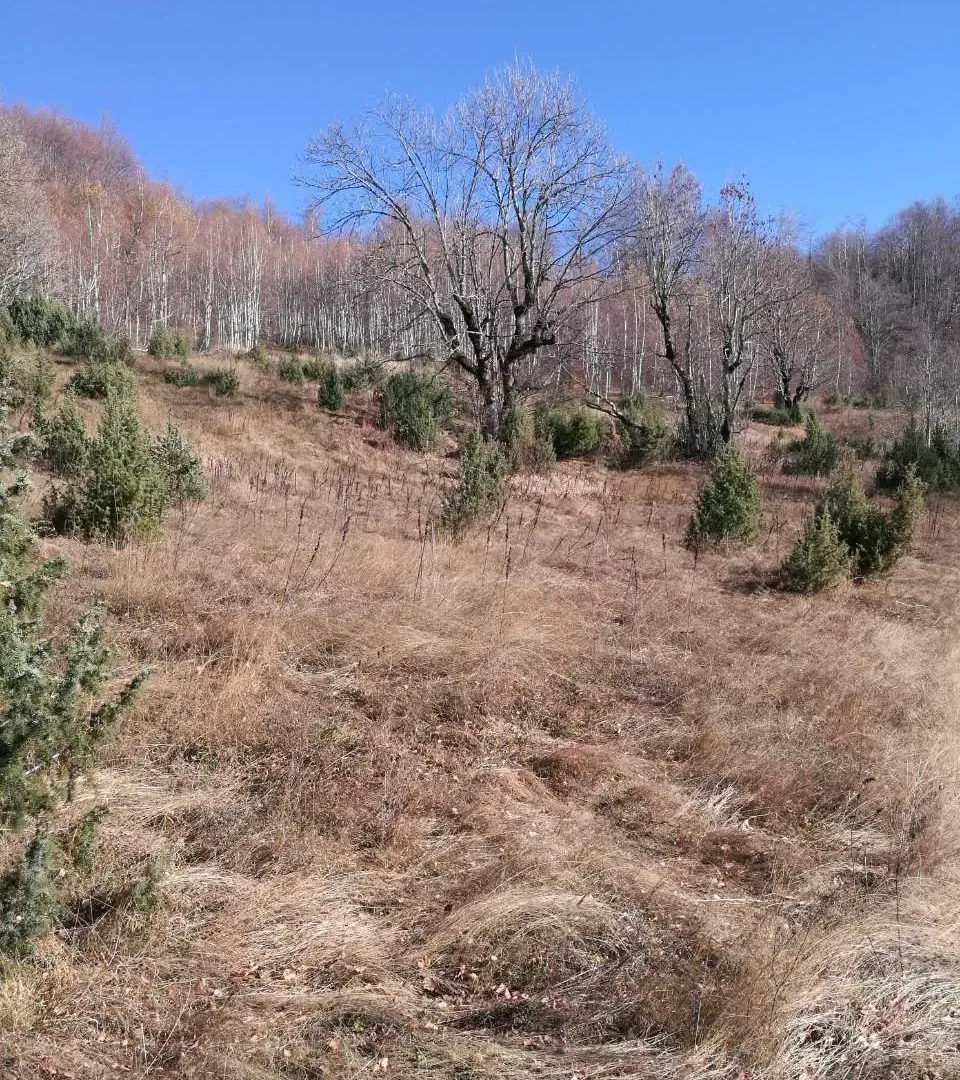 Prodaja, plac, 138000m², Kolašin, Crna Gora