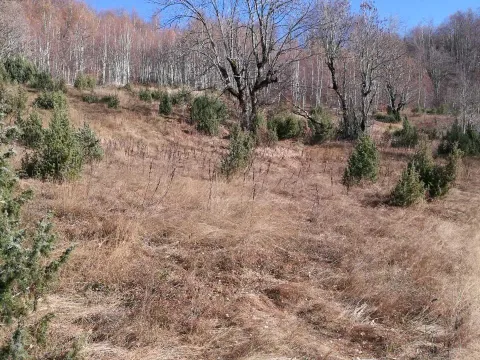 Prodaja, plac, 138000m², Kolašin, Crna Gora - image 8