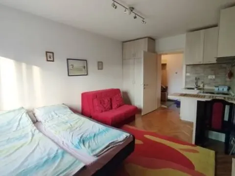Izdavanje, garsonjera, 25m², Botanička Bašta, Palilula Sve Podlokacije - image 3