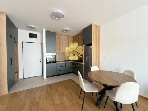 Rent, one bedroom apartment, 50m², Stari Aerodrom, Podgorica - image 4