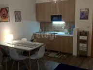 Prodaja, dvosoban stan, 53m2, Treska, Kopaonik