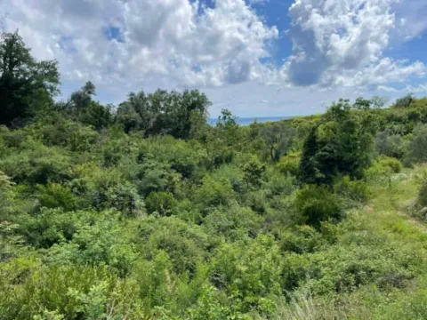 Sale, land lot, 2405m², Reževići, Budva - image 2