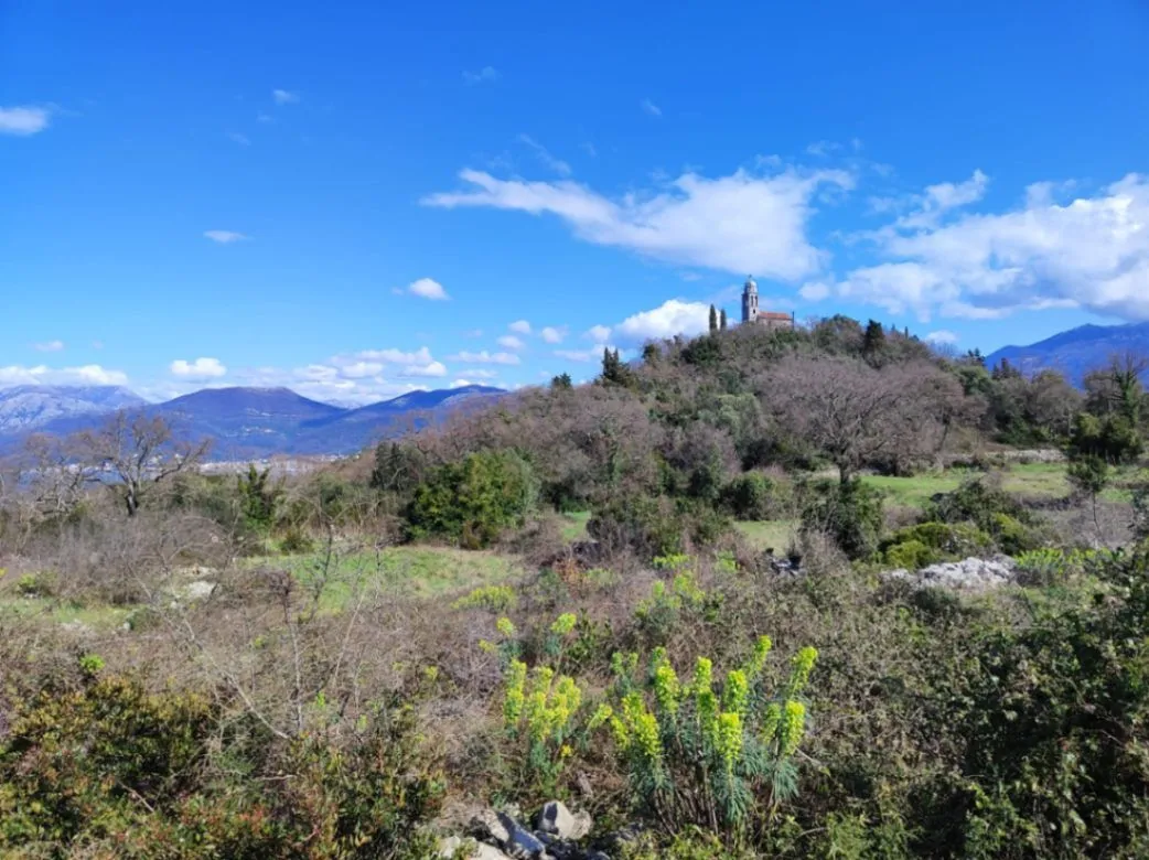 Prodaja, plac, 1830m², Gošići, Tivat