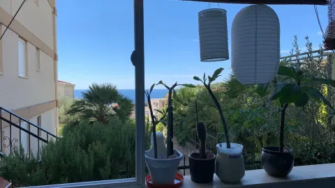 Pogled na more sa terase sa saksijama cvijeća. - image 4