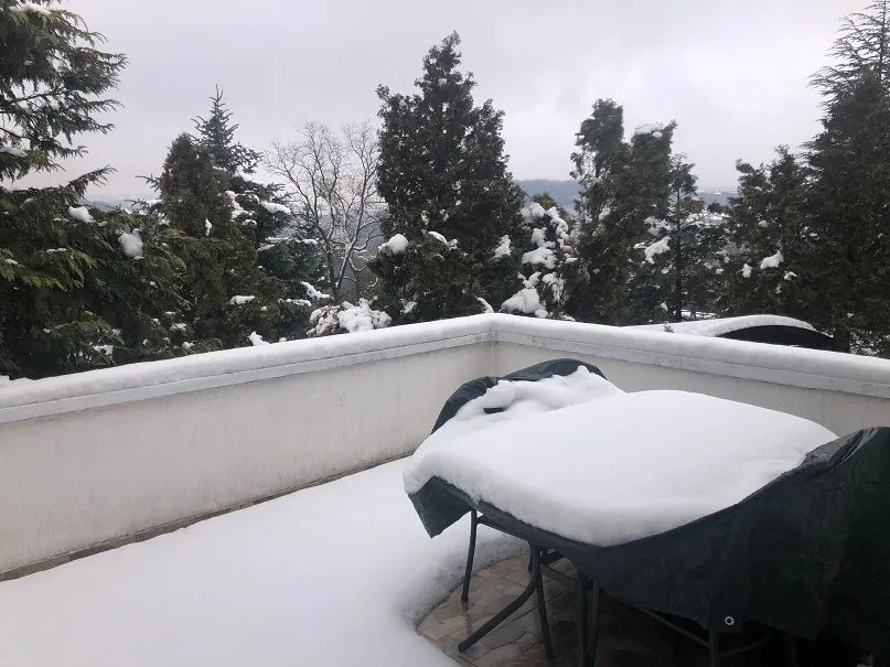Izdavanje, kuća, 330m², Savski Venac, Beograd