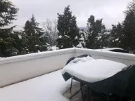 Izdavanje, kuća, 330m², Savski Venac, Beograd - image 9