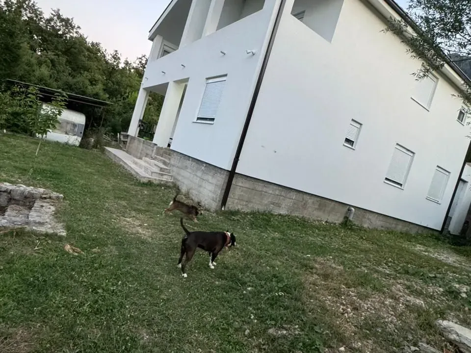 Sale, house, 300m², Bukovik, Bar