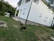 Sale, house, 300m², Bukovik, Bar - image 1