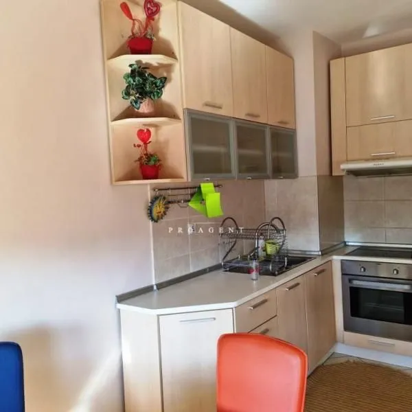 Izdavanje, jednosoban stan, 62m², Medijana, Niš