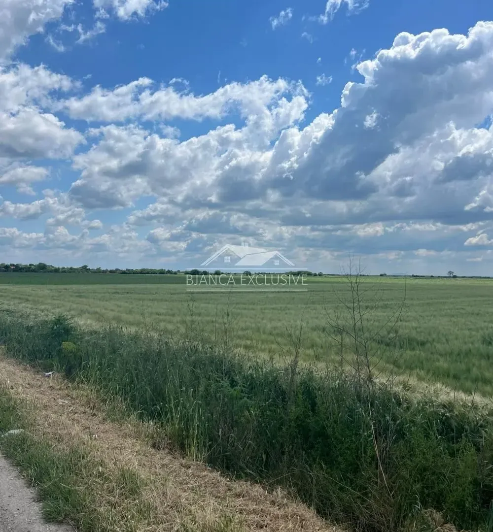 Prodaja, plac, 24200m², Pecinci, Srbija