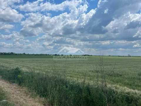 Prodaja, plac, 24200m², Pecinci, Srbija - image 10