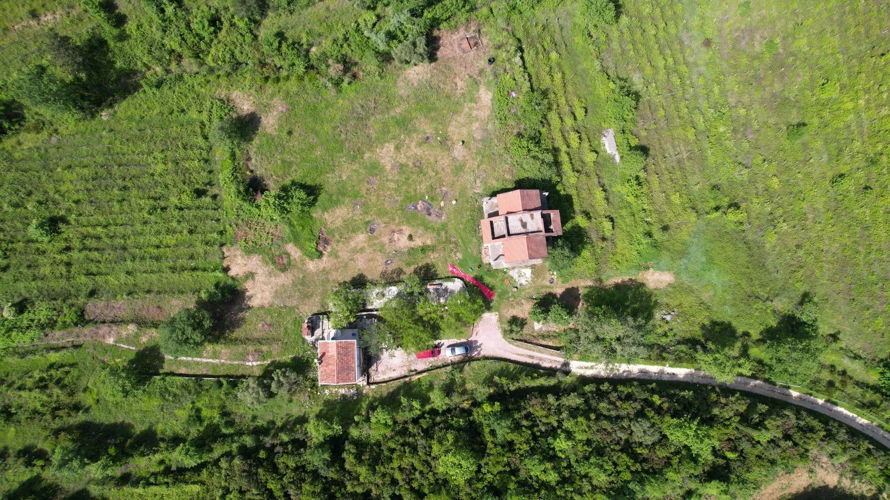 Prodaja, plac, 83000m², Radanovići, Kotor