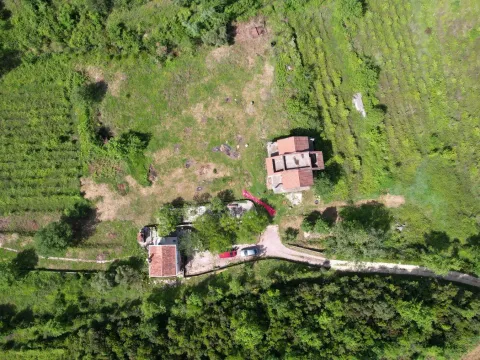 Prodaja, plac, 83000m², Radanovići, Kotor