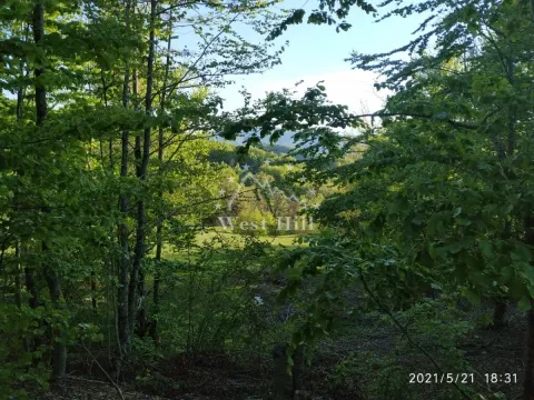 Prodaja, plac, 600m², Kolašin, Crna Gora - image 4