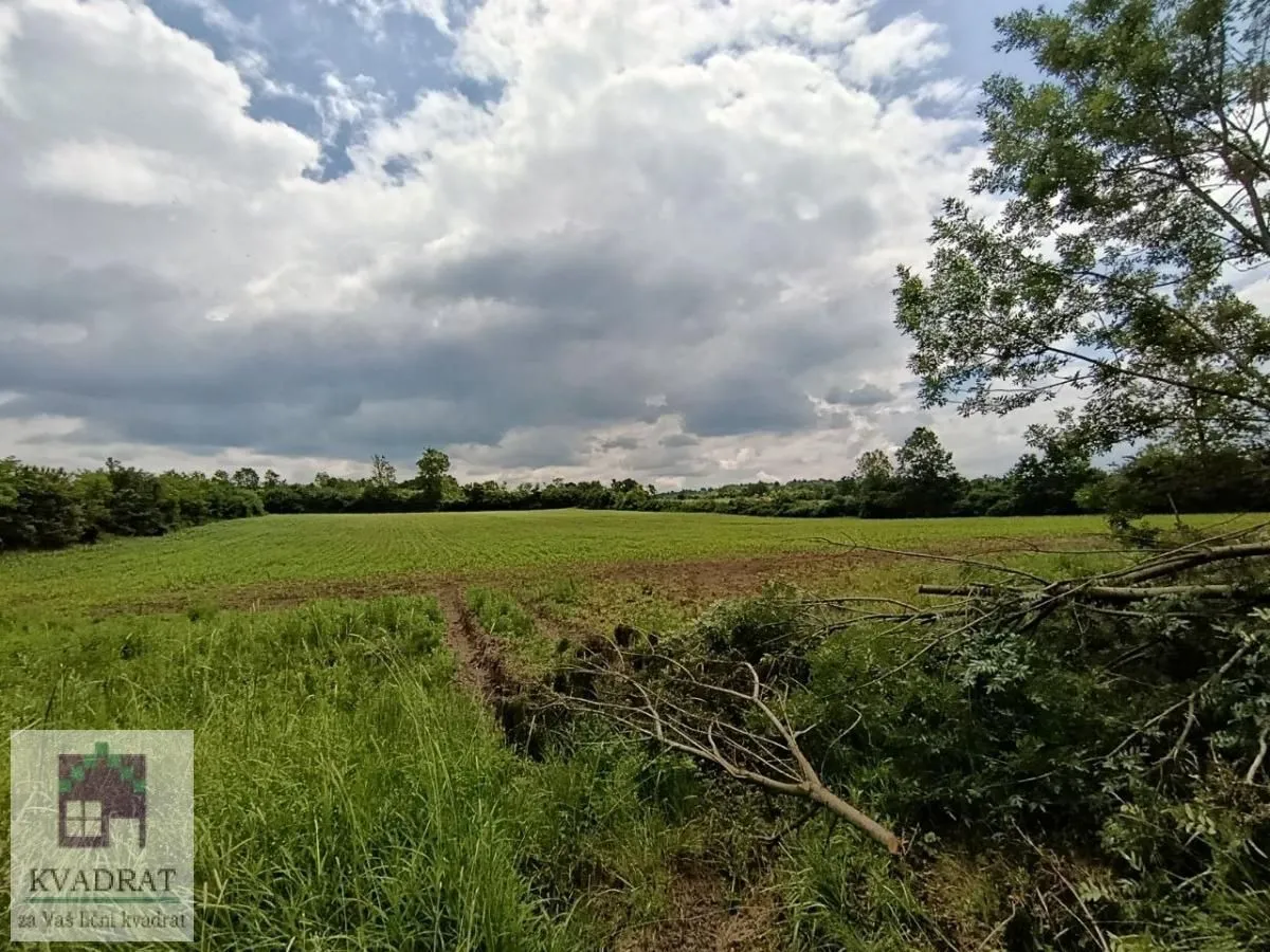 Sale, land lot, 23200m², Draževac, Obrenovac
