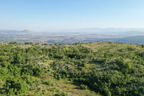 Pogled iz vazduha na šumoviti pejzaž sa gradom u daljini. - image 6