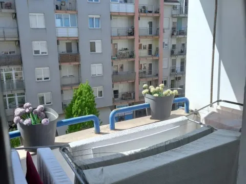 Sale, two bedroom apartment, 45m², Adamovićevo Naselje, Novi Sad Sve Podlokacije - image 8