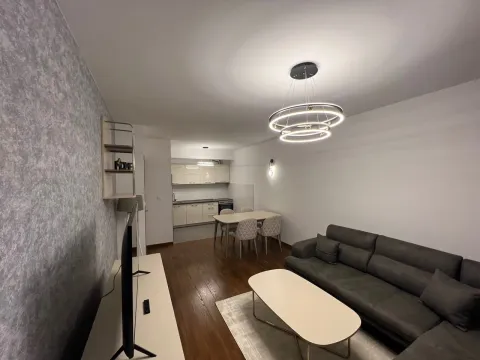 Izdavanje, jednosoban stan, 50m², Master Kvart, Podgorica - image 3