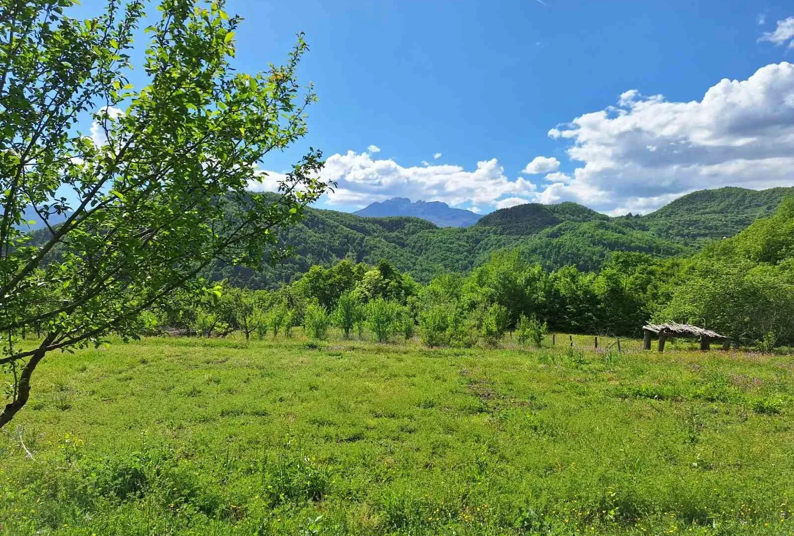 Prodaja, plac, 15588m², Kolašin, Crna Gora