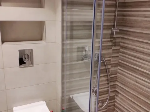 Izdavanje, jednosoban stan, 38m², Gintaš, Podgorica - image 15