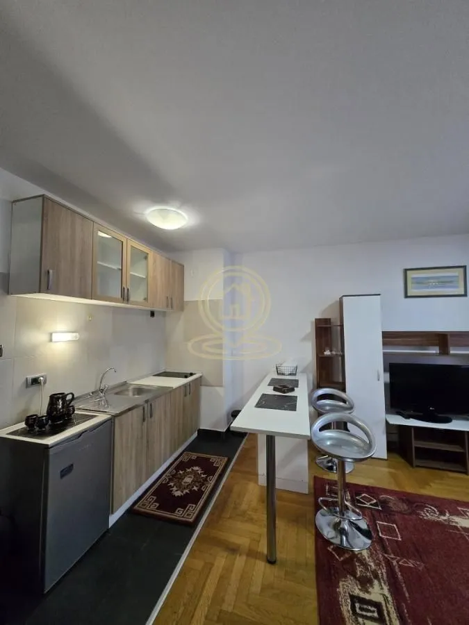Izdavanje, jednosoban stan, 30m², Adamovićevo Naselje, Novi Sad Sve Podlokacije