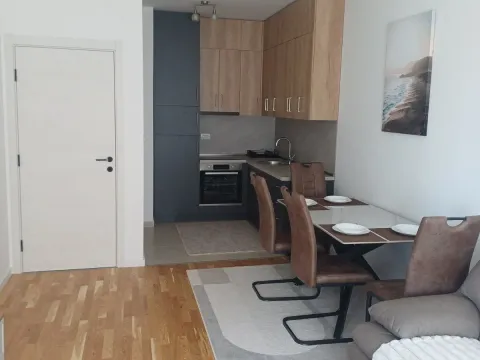 Izdavanje, jednosoban stan, 44m², Stari Aerodrom, Podgorica - image 3