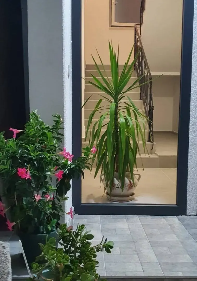 Rent, house, 120m², Bjeliši, Bar