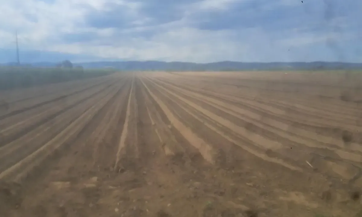 Sale, land lot, 27500m², Futog, Novi Sad Sve Podlokacije