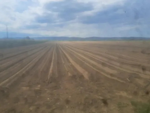 Prodaja, plac, 27500m², Futog, Novi Sad Sve Podlokacije - image 1