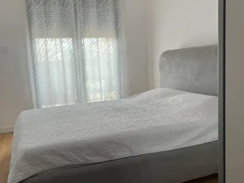 Rent, one bedroom apartment, 47m², Zabjelo, Podgorica - image 3