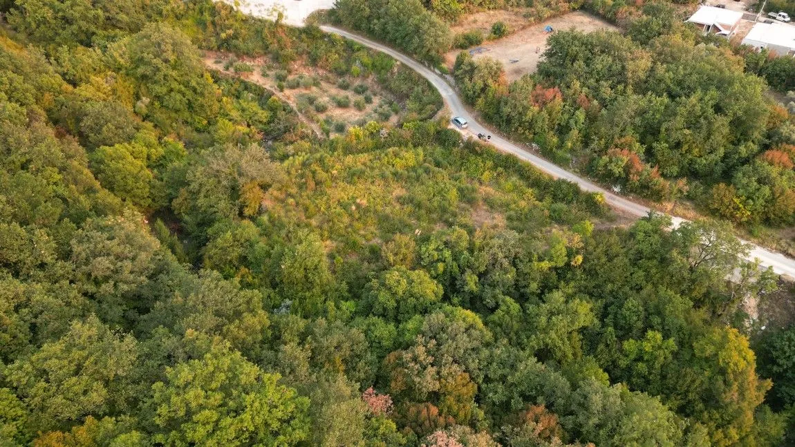 Pogled iz vazduha na šumoviti plac i okolni put.