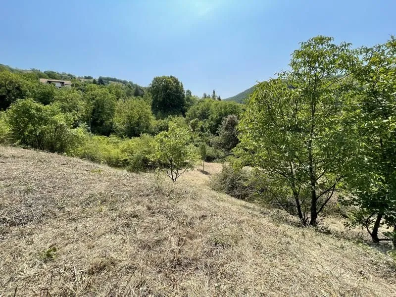 Prodaja, plac, 1500m², Rakovac, Novi Sad Sve Podlokacije