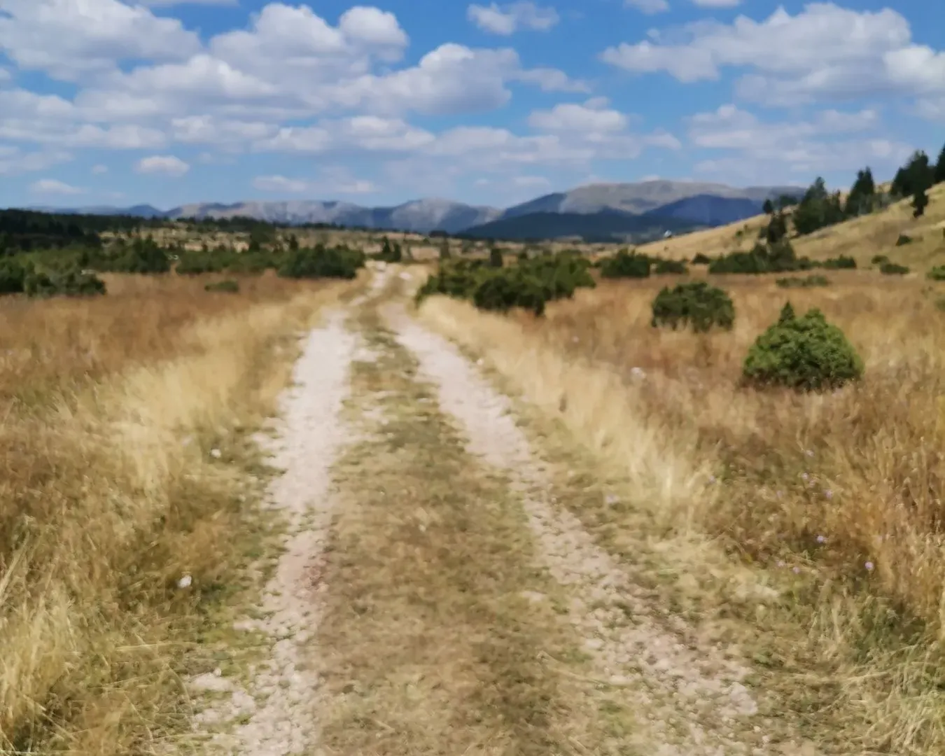 Prodaja, plac, 36000m², Žabljak, Crna Gora