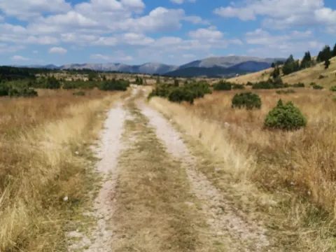 Prodaja, plac, 36000m², Žabljak, Crna Gora - image 3